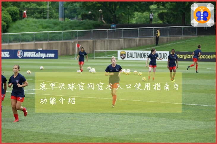 意甲买球官网官方入口使用指南与功能介绍