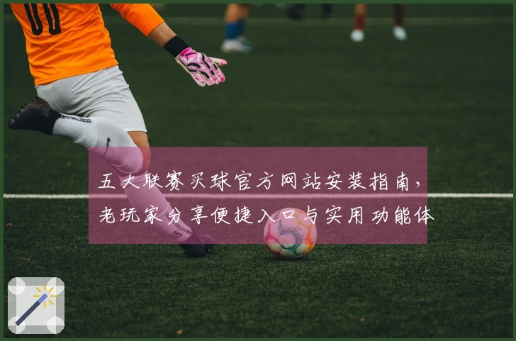 五大联赛买球官方网站安装指南，老玩家分享便捷入口与实用功能体验