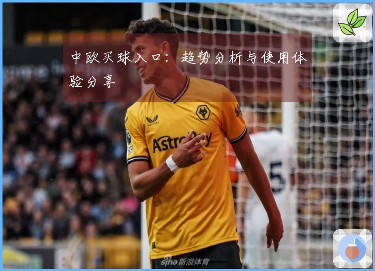 中欧买球入口：趋势分析与使用体验分享