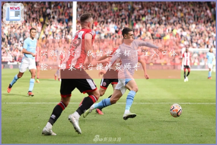 实测对比：我的世界杯下注入口体验，哪家平台操作最顺手