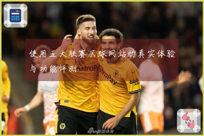 使用五大联赛买球网站的真实体验与功能评测