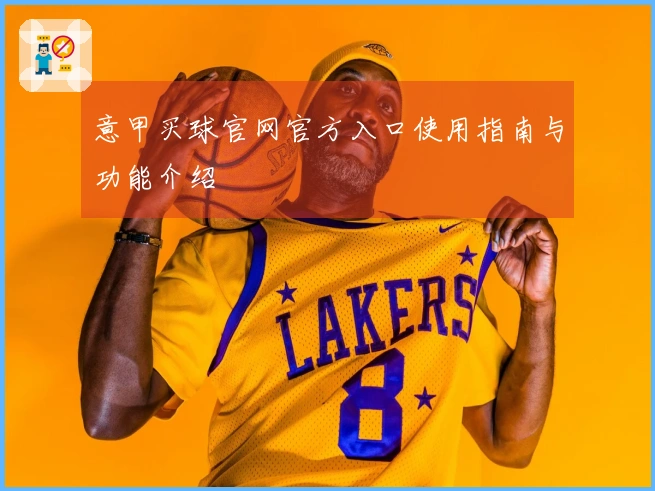 意甲买球官网官方入口使用指南与功能介绍
