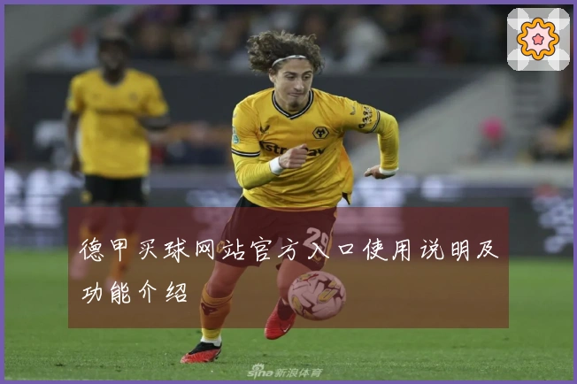 德甲买球网站官方入口使用说明及功能介绍