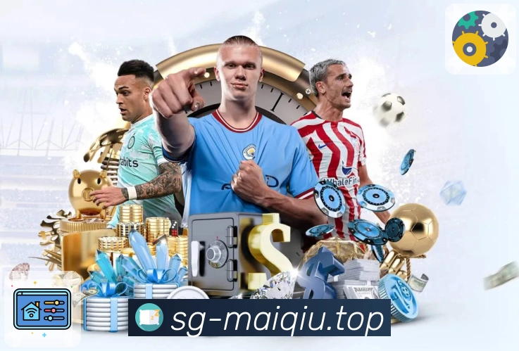 买球站APP 高清赛事图